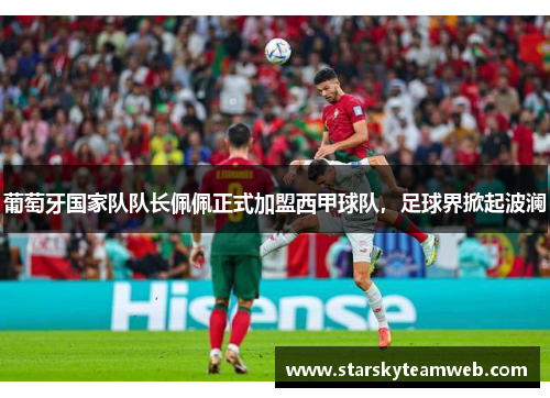 葡萄牙国家队队长佩佩正式加盟西甲球队，足球界掀起波澜