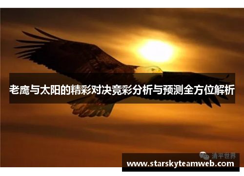 老鹰与太阳的精彩对决竞彩分析与预测全方位解析
